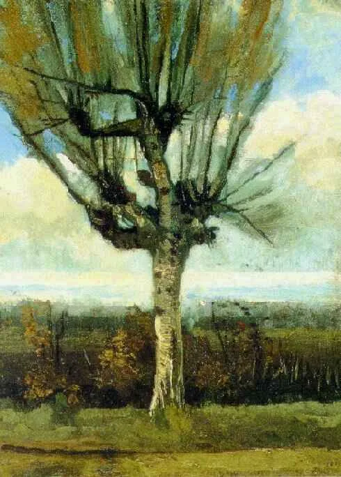 Ručně malovaná olejová reprodukce obrazu Vincenta van Gogha Vrba, pokroucená hlavatá vrba stojící osamoceně v brabantských polích pod širým nebem.